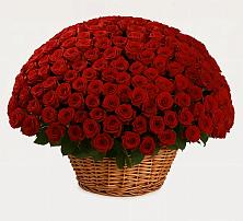 Премиум букет из: Розы в Рождествено